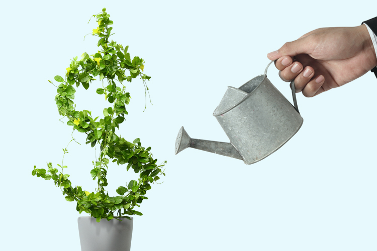 Clermont Park Senior Living Community in Denver, CO - clermont park watering can with plant shaped like dollar sign